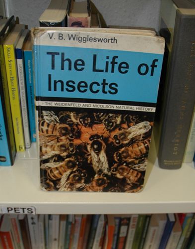 I saw this and had to take a photo...someone named Wigglesworth wrote a book about insects!