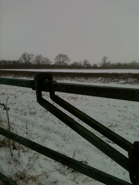 The frozen fields over the farm gate...