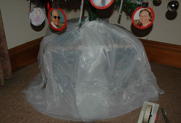 First layer...the bags are taped to each other so you don't end up cutting tape off the tree 